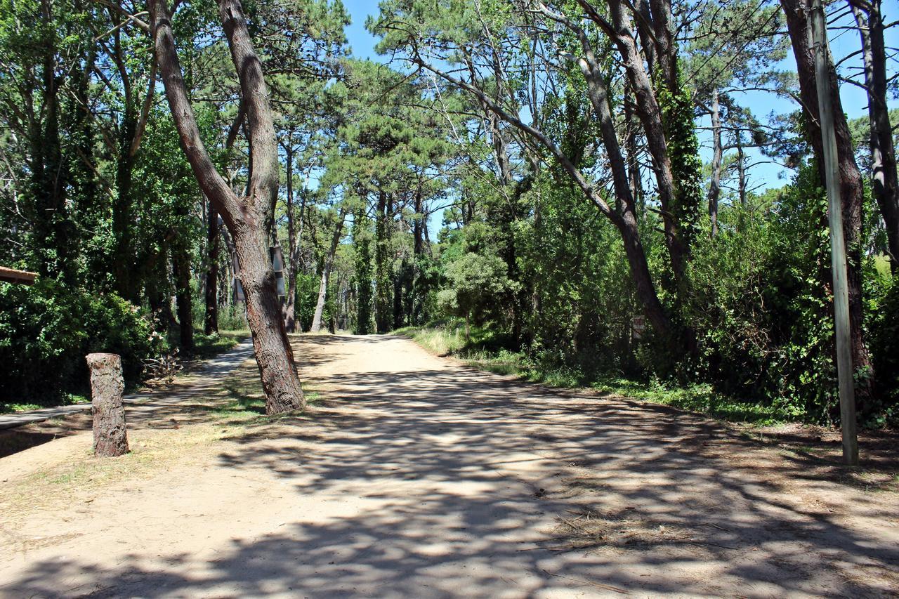 Hostel Ramma Camping Villa Gesell Exteriér fotografie