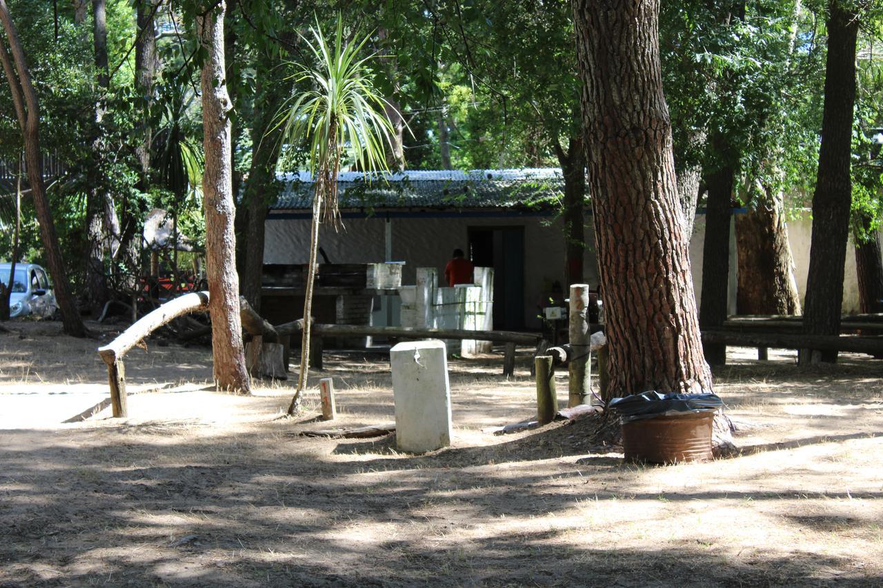 Hostel Ramma Camping Villa Gesell Exteriér fotografie